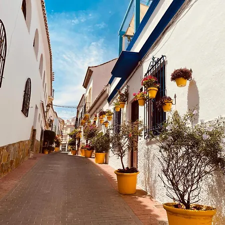 Апартаменты Merion *