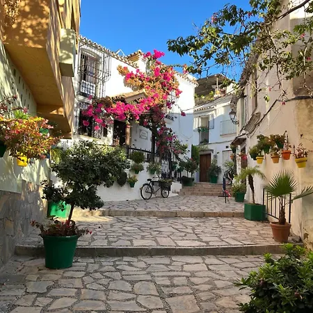 Merion * Эстепона