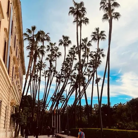 Merion Естепона