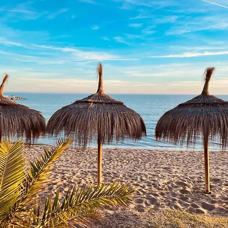 Merion * Естепона